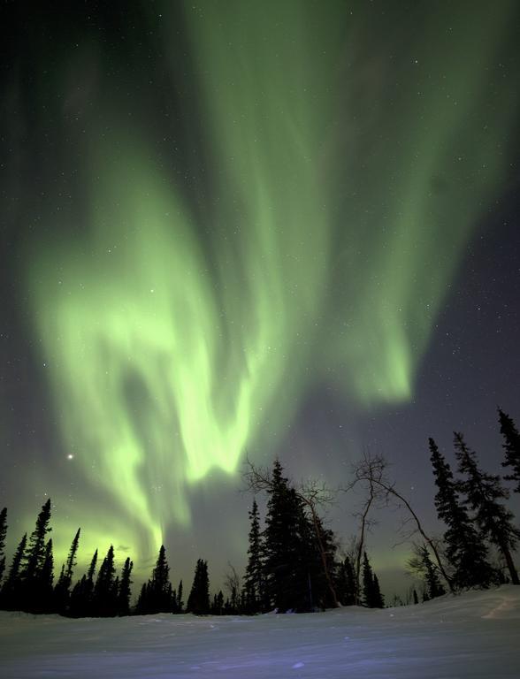 Aurora Inn Dawson City Εξωτερικό φωτογραφία